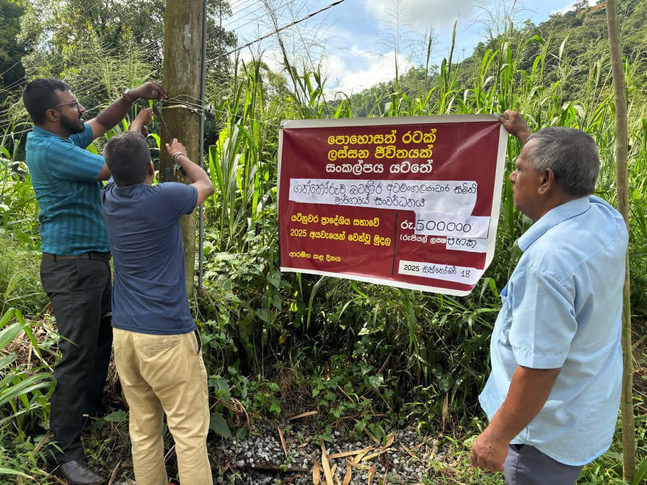 Road development