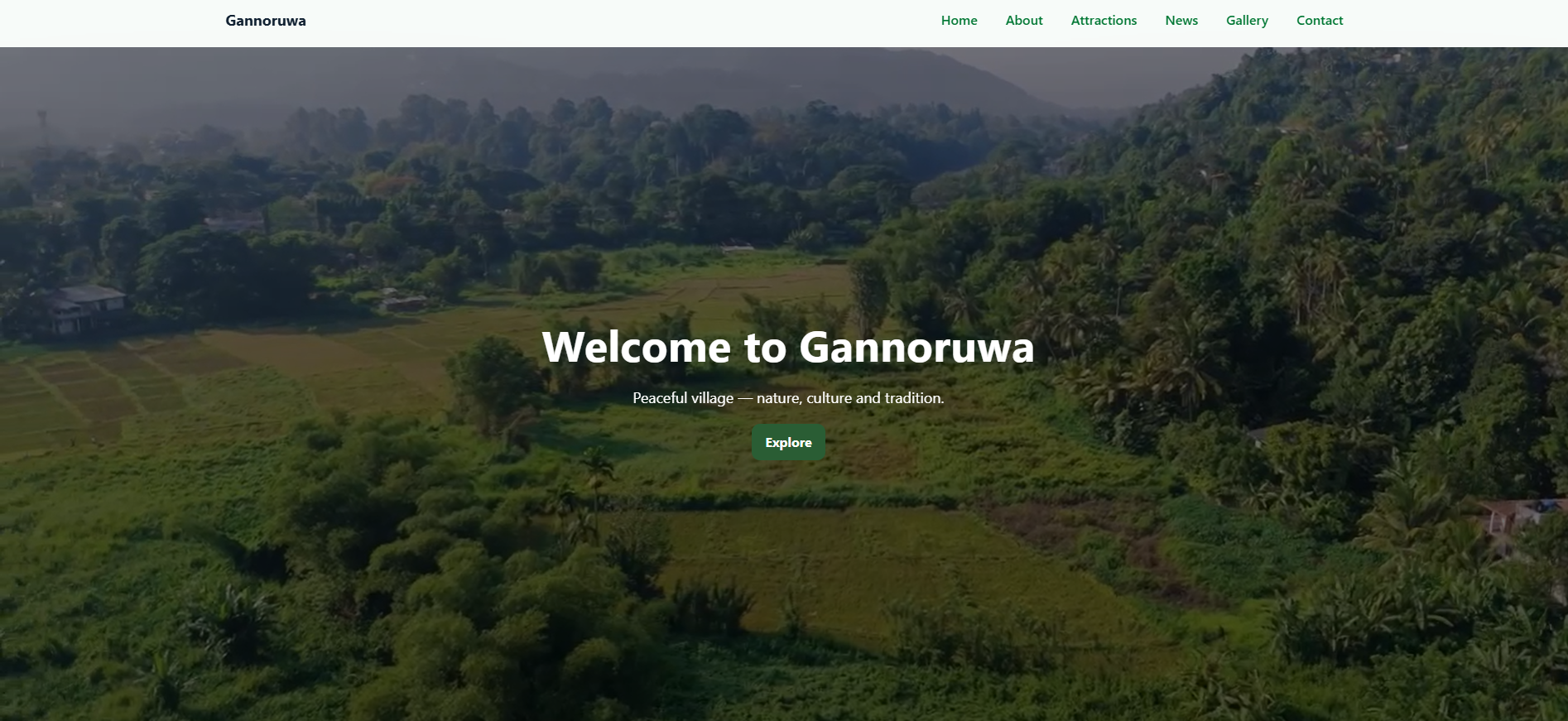 Website Launch